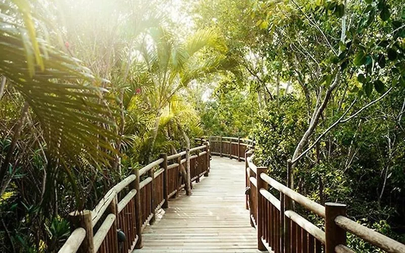 Grand Mayan, Riviera Maya Puerto Morelos